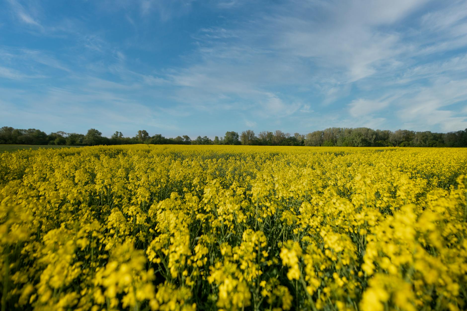 44 miliony dla gmin Kujawsko-Pomorskiego. Wąbrzeźno w gronie beneficjentów